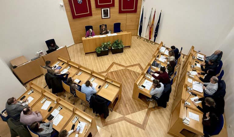 Pleno de Narón