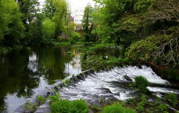 IMG_1847