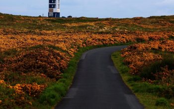 IMG_2554