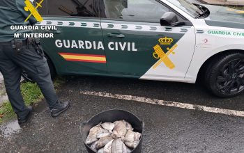 Imagen de WhatsApp 2025-05-19 a las 08.28.04_fafdb833