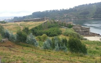 MONTES DE BRION