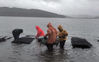 Deputación da Coruña apoya el marisqueo en la ría de Cariño