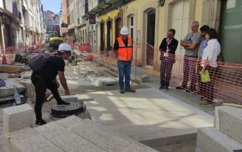 Mato Pardo Bajo