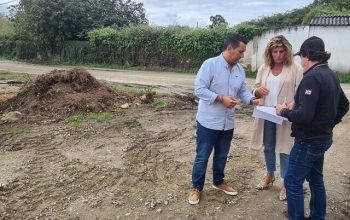 Obras Pineiros
