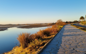 PASEO LAGOA
