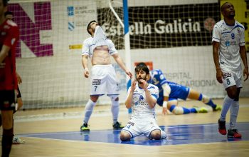 Parrulo_27