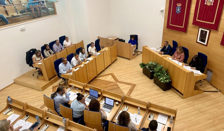 Imagen del pleno de Narón. Foto:cedida