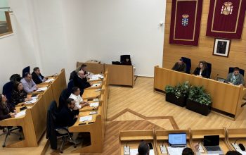 Pleno febreiro