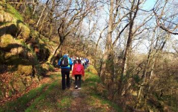 Ponte en ruta con nos (1)