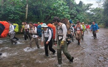 RUTA INTI