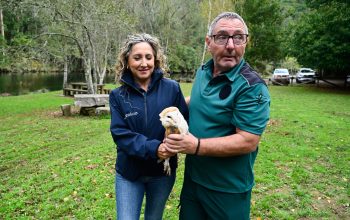 La Delegada da Xunta en Ferrol participó en la reintegración de dos aves do Centro de Recuperación de la Fauna Silvestre