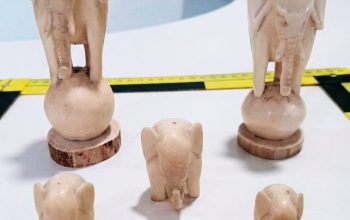 Tráfico de marfil en Neda