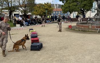 Unidad canina Tercio Norte 2
