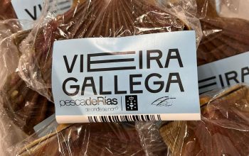 VIEIRA gallega