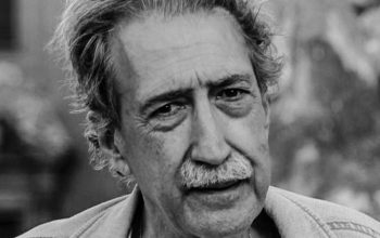 Vicente-Araguas