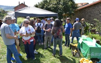PlantaFest en Camouco