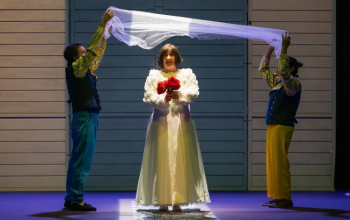 A CINCENTA QUE NON QUERÍA COMER PERDICES