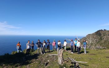 actividades2