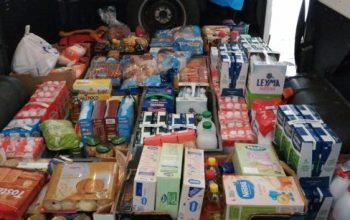 alimentos