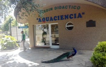 aquaciencia