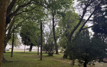 árboles del Cantón