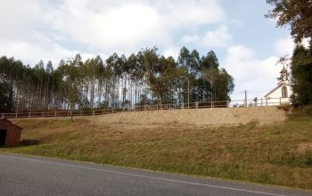 assomozas