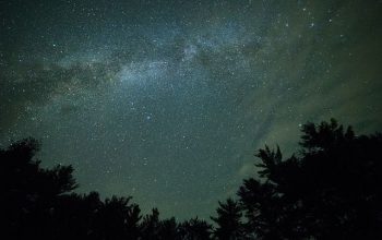 astonomia, observacion, estrellas