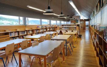 auxiliar biblioteca