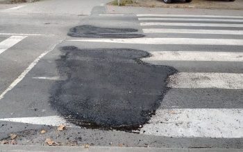 bache