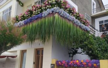 balcones corpus ares