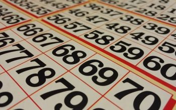 bingo (1)