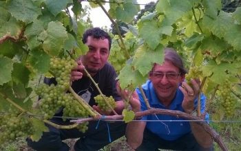 bodegaselparaguas