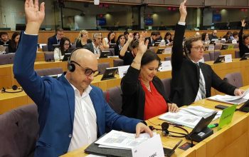 Ana Mirando del BNG votando en el Parlamento Europeo
