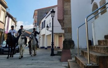 caballos en neda