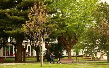 campusesteiro
