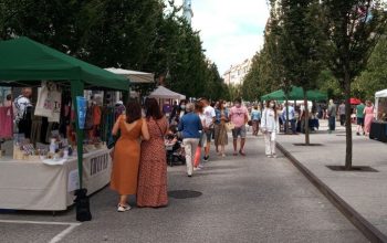 canido mercadillo