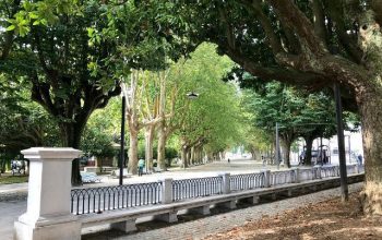 canton de molins