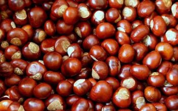 castanas
