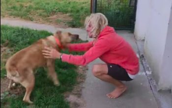 charly perro caravana y su dueño