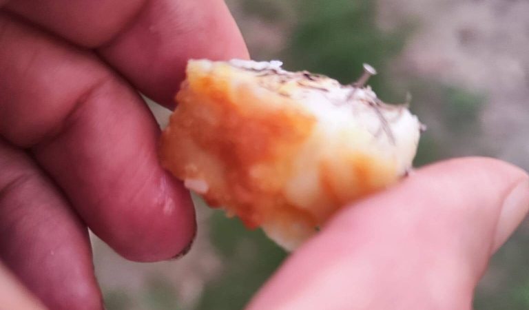 comida clavos