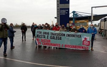 concentracion cig masol