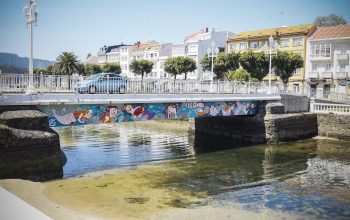 covid CEDEIRA_14