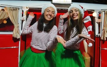 elfinas luces navidad naron