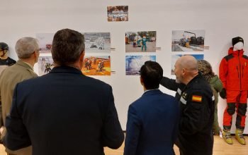 exposicion ume