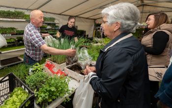 feira da plantacion - cesar galdo00004 (1)