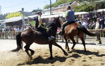 Las pruebas se celebraron desde media mañana y durante toda la jornada d.a.