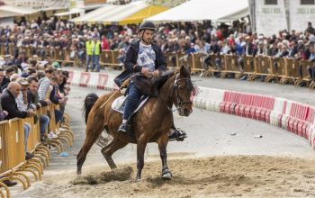 feria cabalo moeche