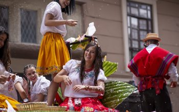 fernandozhiminaicela-parade-4879243_1920