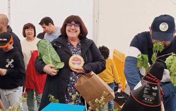 Feira da primavera ( RRSS Recursos de aldea)