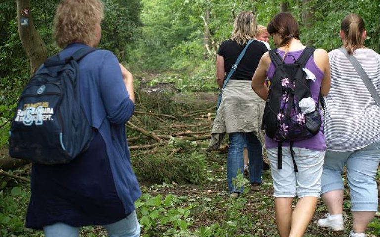 caminata andaina monte paseo